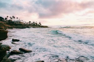montylov-ktZZiHb-GoI-unsplash